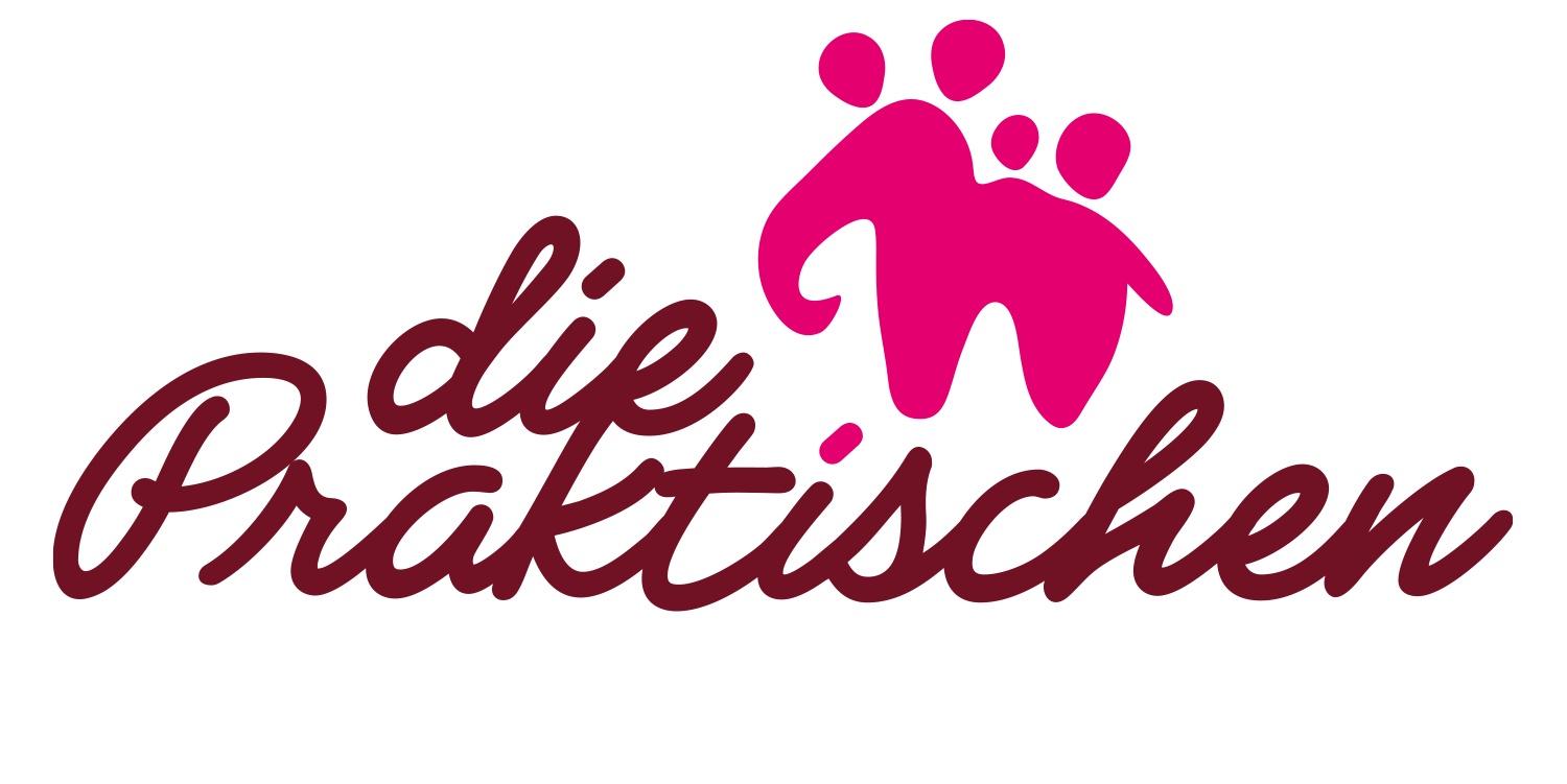 Logo die Praktischen, Eckert & Fürnschlief